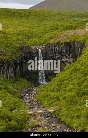 Belle et grande cascade Svartifoss avec colonnes de basalte noir sur le Sud de l'Islande, l'heure d'été Banque D'Images