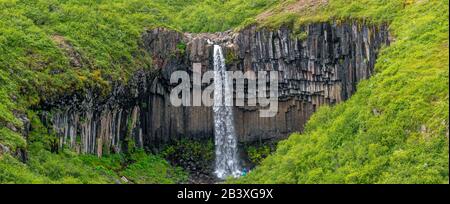 Belle et grande cascade Svartifoss avec colonnes de basalte noir sur le Sud de l'Islande, l'heure d'été Banque D'Images