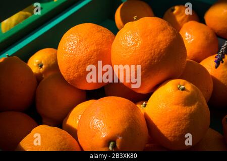 Tangerines biologiques à Crate au marché Banque D'Images