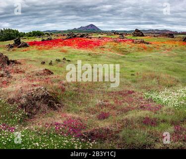 Vue panoramique du champ de lave près du lac Myvatn, ville Reykjahlid, et les volcans et Hverfjall Krafla en Islande Banque D'Images