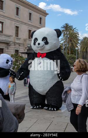 Palma, Majorque, Espagne - 10 avril 2019 : spectacle de rue dans un costume pneumatique de Panda à proximité de la cathédrale Santa Maria Banque D'Images