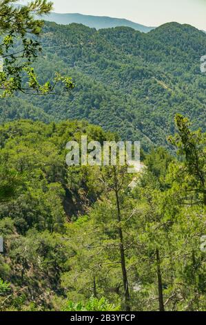 Vue sur les montagnes de Troodos depuis le sommet.montagnes de Troodos, Chypre. Journée d'été ensoleillée. Banque D'Images