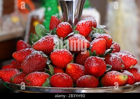 fraises mûres freh dans un plateau Banque D'Images