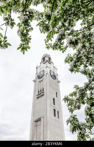 Tour d'horloge blanche vue à travers des arbres en fleurs. Printemps dans le Vieux-Port de Montréal (Québec, Canada). Banque D'Images