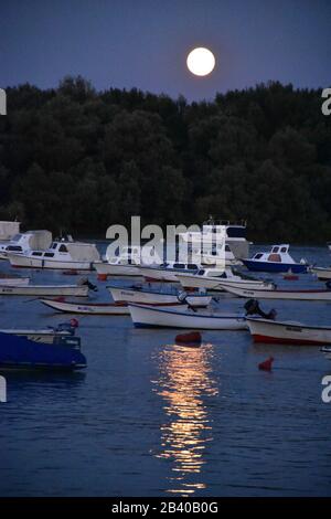 Port de plaisance de la ville sur le Danube à Belgrade. Paysage de nuit Banque D'Images