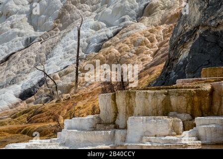 Terrasses Travertin De Mammoth Hot Springs, Yellowstone Banque D'Images