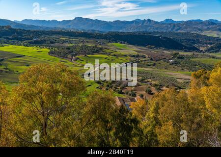 Vue sur le paysage de montagne, Ronda, Province Malaga, Andalousie, Espagne Banque D'Images
