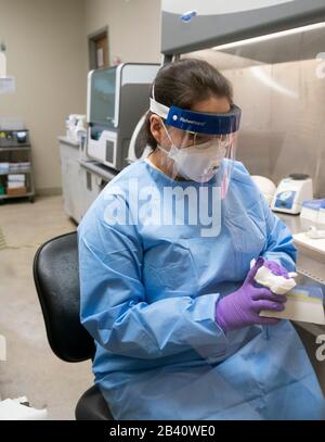 Le microbiologiste Chelsey Tiger du département d'État des services de santé de l'État du Texas (DSHS) prépare les tests de coronavirus COVID-19 au laboratoire de DSHS à Austin. Banque D'Images