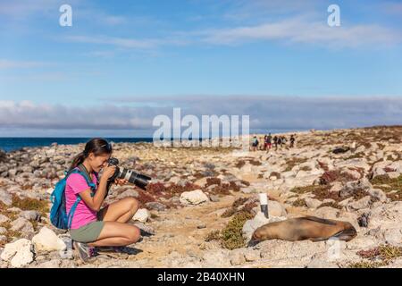 Galapagos touriste prenant des photos de Galapagos Sea Lion sur l'île de Seymour Nord, les îles Galapagos. Animaux et faune incroyables pendant les vacances en bateau de croisière de Galapagos Banque D'Images