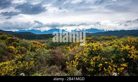 Vue Sur Les Alpes De Nouvelle-Zélande, Ka Tiritiri O Te Moana, Avec Fox Glacier, Gillespies Beach, Westland National Park, West Coast, South Island, New Banque D'Images