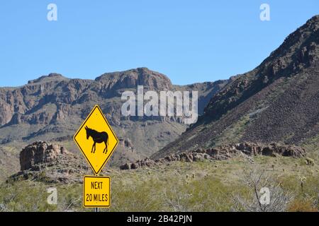 Wild Burros Sign In The Black Mountain Range, Sonoran Desert, Arizona États-Unis Banque D'Images
