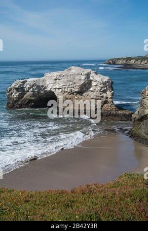 Côte du Pacifique, parc national de Natural Bridges, Santa Cruz, Californie Banque D'Images