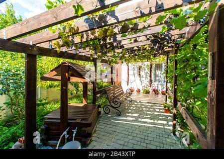 La cour arrière de la maison avec un auvent en bois fait de poutres - pergola. Les raisins poussent sur les barres et créent une ombre. Des grappes de raisins sont visibles Banque D'Images