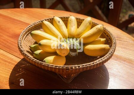 Bananes dorées ou banane Lady Finger dans le panier tressé sur la table en bois. Nourriture saine aux fruits. Banque D'Images