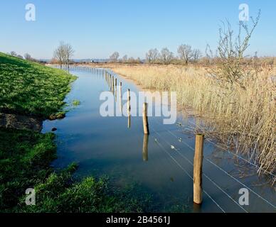 Réserve naturelle Meinerswijk près d'Arnhem Pays-Bas Banque D'Images