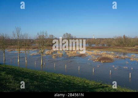 Réserve naturelle Meinerswijk près d'Arnhem Pays-Bas Banque D'Images