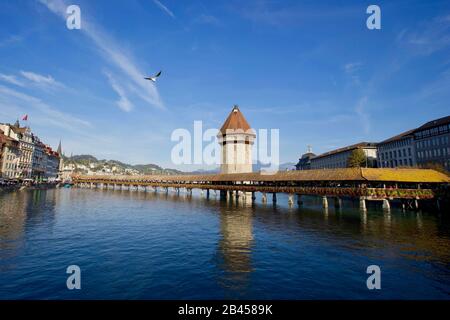 Vue Sur La Rivière Reuss, Le Pont De La Chapelle Et La Tour Aquatique, Lucerne, Suisse. Banque D'Images