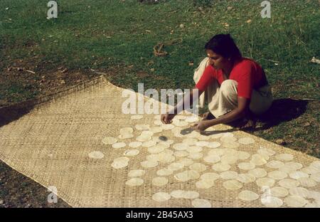 Femme séchant du papadam, papadum, papad, paper, Kerala, Inde, Asie, Inde, Asie, MR#777A Banque D'Images