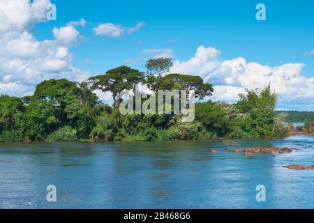Belle rivière calme Iguazu, vue sur les arbres sur les petites îles de la rivière dans le parc national d'Iguaçu du côté argentin des célèbres chutes d'eau. Banque D'Images