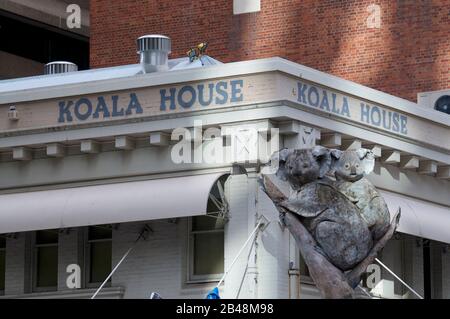 Brisbane, Queensland, Australie - 21 janvier 2020 : vue sur la maison Koala et la sculpture Koala située dans le bâtiment de Brisbane. Banque D'Images