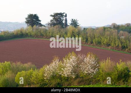 Champ labouré de Terre Fertile de Devon rouge dans la lumière d'or d'une Soirée de printemps. Parc De La Vallée De Ludwell, Terres Agricoles Mixtes. Exeter, Devon, Royaume-Uni. Banque D'Images