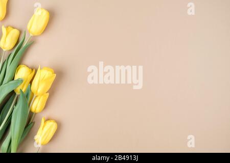 Tulipes jaunes sur fond beige. Carte postale pour une fille Banque D'Images