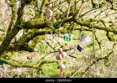 La loi folklorique de fée ancienne protection des bois irlandais des arbres de fée et de la végétation en accrochant des objets en plastique de couleur colorée sur les branches et les grumes Banque D'Images