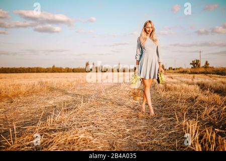 Belle jeune femme élancée dans une robe d'été bleue marche pieds nus à travers le terrain avec un tournesol dans ses mains. Concept De Fertilité Et De Récolte Banque D'Images