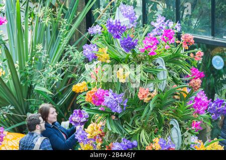 Visiteurs du festival des orchidées au Conservatoire Princess of Wales, Royal Botanic Gardens, Kew, Londres, Royaume-Uni Banque D'Images