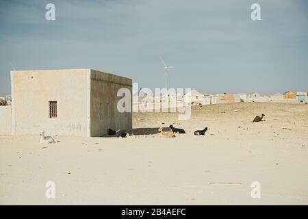 Petite maison improvisée au Sahara, en Mauritanie Banque D'Images