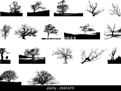 Illustration d'arbres, avec vecteur d'arrière-plan blanc Illustration de Vecteur