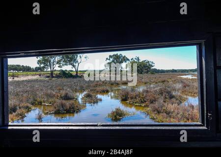 Réserve d'oiseaux à la Laguna Salada de la Mata, Torrevieja, Costa Blanca, Espagne Banque D'Images