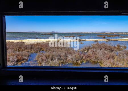 Réserve d'oiseaux à la Laguna Salada de la Mata, Torrevieja, Costa Blanca, Espagne Banque D'Images