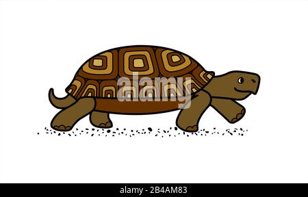 tortue terrestre vectorielle mignonne avec coque à motifs, vue latérale; isolée sur fond blanc; symbole de lenteur; tortue à pied Illustration de Vecteur