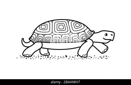 contour vecteur jolie tortue terrestre avec coque à motifs, vue latérale; isolé sur un fond blanc; symbole de lenteur; tortue des contours; pour colorier bo Illustration de Vecteur