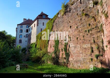 France, Bas-Rhin, Parc régional des Vosges du nord (Parc naturel Régional des Vosges du Nord), la petite Pierre, le château de Lutzelstein Banque D'Images