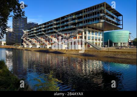 France, Bas-Rhin, Strasbourg, aménagement du port du Rhin (port du Rhin) et transformation du brise-lames de Bassin d'Austerlitz, presqu'ile Malraux (péninsule de Malraux), ancien entrepôt de Mole Seegmuller transformé en appartements de commerce et résidentiels au bord du bassin d'Austerlitz, les bâtiments des Black Swans en arrière-plan Banque D'Images