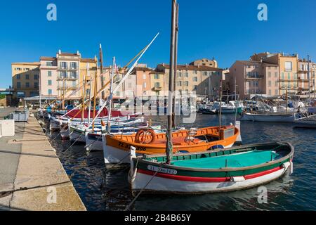 France, Var, Saint Tropez, bateaux en pointe (bateaux méditerranéens traditionnels) dans le vieux port Banque D'Images