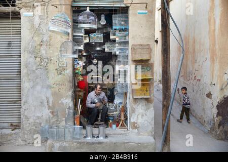 Shiraz, Iran. 03ème décembre 2017. Scène de rue dans la ville iranienne de Shiraz, prise le 02.12.2017. | utilisation dans le monde crédit: DPA/Alay Live News Banque D'Images