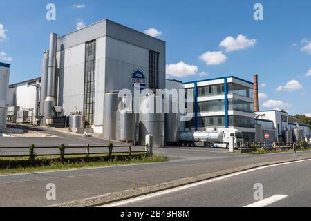 France, Indre et Loire, Verneuil-sur-Indre, Produits laitiers Verneuil Banque D'Images