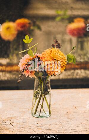 Fleurs Dahlia dans un petit vase en verre reflété dans des miroirs anciens. Banque D'Images