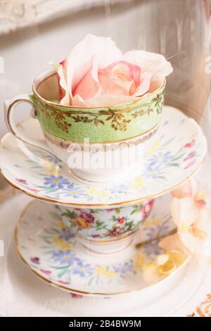 porcelaine fleurie vintage derrière le verre. Mai 2019 Banque D'Images
