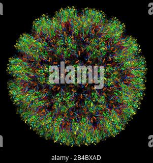 Structure tridimensionnelle du papillomavirus humain de type 16, associée aux cancers. BOÎTIER DE DISTRIBUTION ÉLECTRIQUE 3 J 6 R. Banque D'Images