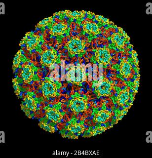 Structure tridimensionnelle du papillomavirus humain de type 16, associée aux cancers. BOÎTIER DE DISTRIBUTION ÉLECTRIQUE 3 J 6 R. Banque D'Images