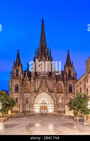 Vue nocturne de la cathédrale de la Sainte Croix et Sainte Eulalia, Barcelone, Catalogne, Espagne Banque D'Images