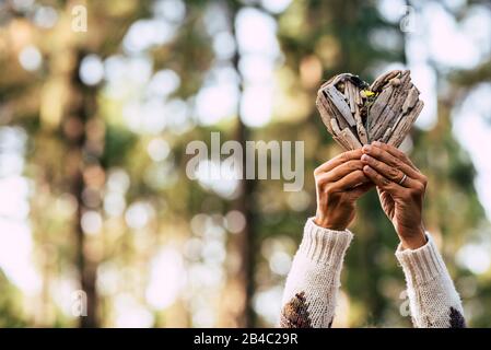 Sauver la nature et les terres jour concept avec couple de mains adultes prenant un coeur en bois et jaune petite fleur avec belle forêt de bobes défocused en arrière-plan - soins de plein air et saison d'automne Banque D'Images