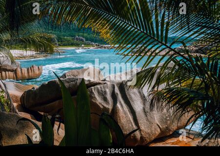 Magnifique paysage tropical de la plage de Grande l'Anse avec des palmiers sur la Digue aux Seychelles. Plage exotique avec mélange de sable de corail. Mise en surbrillance réelle. Banque D'Images