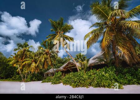 Paysage tropical de plage avec palmiers à noix de coco et toits de paille. Vacances exotiques paradis. Banque D'Images