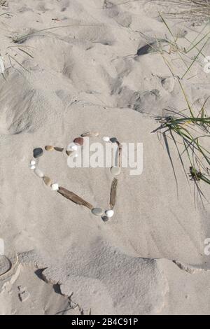 Coeur des coquillages de mer et du bois de dérive dans le sable, parfait pour le concept touristique, l'amour et le temps de plage de loisirs Banque D'Images
