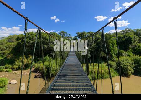 Pont suspendu, Olare Orok river, Masai Mara National Reserve, Kenya, Africa Banque D'Images
